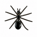 Broche araignée noire XL